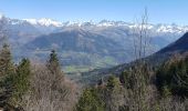 Randonnée Marche Châtel-en-Trièves - tour de la forêt domaniale de Chatel - Photo 7
