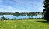 Excursión Senderismo Mattsee - Le tour du Mattsee - Photo 19