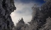 Randonnée Raquettes à neige Sarcenas - Le  Mont Fromage et ses crêtes - Photo 13
