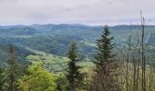 Tocht Stappen Villard-de-Lans - La moliere - col d'herbouilly - pot du loup - crête - Photo 17