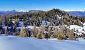 Tocht Ski randonnée Selonnet - 20210218 - Tête grosse - Chabanon - Selonnet - Photo 15