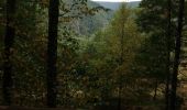 Trail Walking Soursac - Fred les roches noires - Photo 3