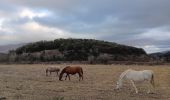 Tocht Stappen Santa Pau - la Garrotxa : volcan Santa Margarida et volcan de Croscat - Photo 2