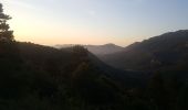 Percorso Arrampicata su alberi Duilhac-sous-Peyrepertuse - Cathare 4 Duilhac sous P.  Bugarach - Photo 3