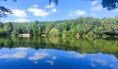 Randonnée Marche Clamart - Ballade digestive autour des étangs de la forêt de Meudon  - Photo 3