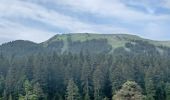 Tour Wandern Seyne - SEYNES LES ALPES Bas et haut Chardavon  , balade de la Rochette , ravin des Ganiayes , les Côtes n - Photo 6