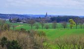 Tour Wandern Mettet - De Stave à Biesmerée - Photo 12