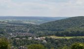 Tour Wandern Pepinster - 20230612 - Cornesse 5.9 Km - Photo 13