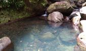 Excursión Senderismo Bouillante - Trou à Diable par la rivière Bourceau - Photo 9