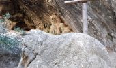 Tocht Stappen Ollioules -  Les Grottes  St Martin  - Photo 4