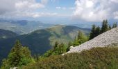 Randonnée Marche Saint-Étienne-les-Orgues - Montagne de Lure, le Cairn 2000. - Photo 7