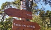 Tocht Stappen Toudon - FFR - la Cime des Colettes  - Photo 3