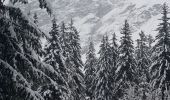 Trail Snowshoes Champagny-en-Vanoise - pralongnan - Photo 4