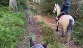 Tocht Paardrijden Habay - Forêt de Rulles - Photo 2