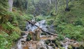 Randonnée Marche Xonrupt-Longemer - Tour des lacs de Longemer et Retournemer et cascades - Photo 8