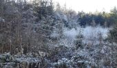 Tocht Stappen Theux - autour du bois de la porallée - Photo 1