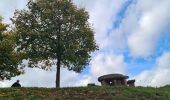 Randonnée Marche Nothalten - L'Abbaye de Baumgarten - Photo 10