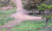 Trail Walking Hyères - N3 1er Borrels - Photo 4