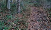 Trail Walking Esneux - Mery, Abbaye de Brialmont, bois de Cortil - Photo 5