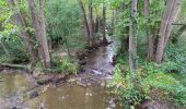 Tour Mountainbike Saint-Sulpice-le-Guérétois - Monts de Guéret n 22 - Photo 1