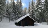 Tour Schneeschuhwandern Sevrier - GR SEMNOZ croisement Quintal Benevent - Photo 4