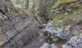 Trail Walking Fillière - plateau des Gliéres par le pas du Roc - Photo 2