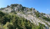 Tour Wandern Gorbio - Gorbio Ste-Agnès - Cime de Baudon - Photo 11