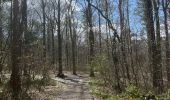 Tocht Stappen Holsbeek - Sin Pieter Rode  - Photo 3