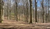 Tour Wandern Holsbeek - Sin Pieter Rode  - Photo 2