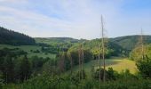 Trail Walking La Roche-en-Ardenne - A la découverte de Maboge 🥾 - Photo 13
