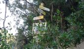 Randonnée Marche Saint-Remèze - 2020-09-14 : circuit des gorges de l’Ardèche  et dolmen de chanet - Photo 5