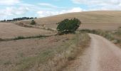 Trail Walking Estella-Lizarra - Mis Arcos - Photo 3