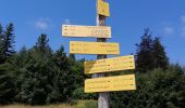 Trail Walking Les Déserts - Mont Revard - Féclaz en boucle - Photo 7