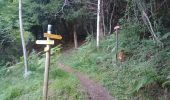Trail Walking Bezins-Garraux - pic du gar - Photo 1