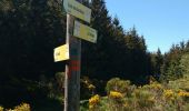 Trail Walking Saint-Martial - Tour des sucs :Sepoux-Seponet-Sommet Lauziére-Taupernas - Photo 4