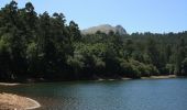 Tocht Te voet Vigo - Sendeiro Local de Zamáns - Photo 6