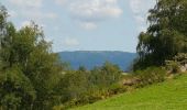 Trail Walking Beulotte-Saint-Laurent - Beulotte St Laurent - le plateau des Mille Etangs - Photo 12