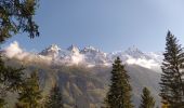 Randonnée Marche Chamonix-Mont-Blanc - 20211010 Chamonix Les Praz Sud - Photo 3
