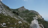 Excursión Senderismo Saint-Agnan-en-Vercors - Le Grand Veymont - Photo 4