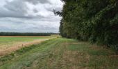 Trail Walking Charentilly - Charentilly - variante Chemin des Grandes Tailles - 11.2km 110m 3h00 - 2025 08 27 - Photo 1