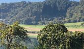 Tocht Stappen Meerfeld - Meerfelder Maar en Waldsbornkratersee (PVDB ) - Photo 3