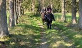 Trail Horseback riding Bastogne - Lutrebois - Photo 5