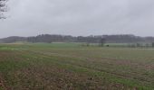 Trail Walking Tielt-Winge - Rondje Houwaart  - Photo 1