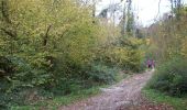 Trail Walking Belbeuf - 20221112-St Adrien - Photo 9