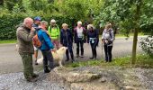 Randonnée Marche Durbuy - Oppagne - Photo 18