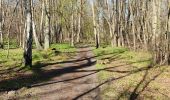 Trail Walking Asnières-sur-Oise - randonnée en forêt de bâillon et campagne - Photo 2