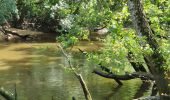 Tocht Hybride fiets Le Teich - Le Teich - Photo 12