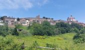 Tocht Stappen Bolsena - CR_Francigena_DL_48_Bolsena_Montefiascone_20230531 - Photo 19