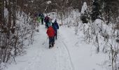 Tour Schneeschuhwandern Châtelblanc - raquette jeudi jura - Photo 3