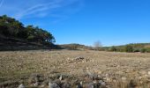 Tour Wandern Signes - Montée vers le plateau de la Limatte en partant de Signes  - Photo 8